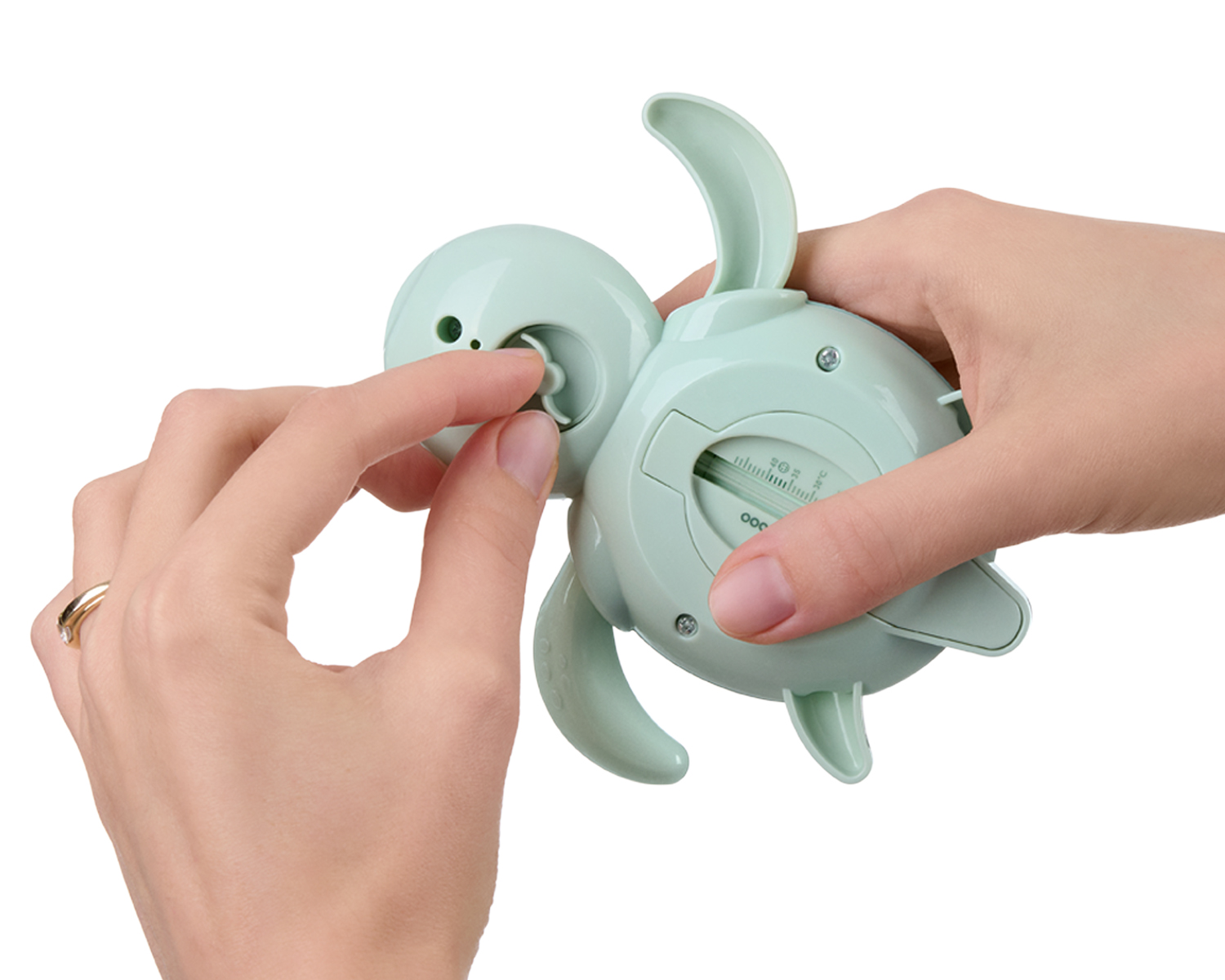 Термометър за вода Buddy Mint