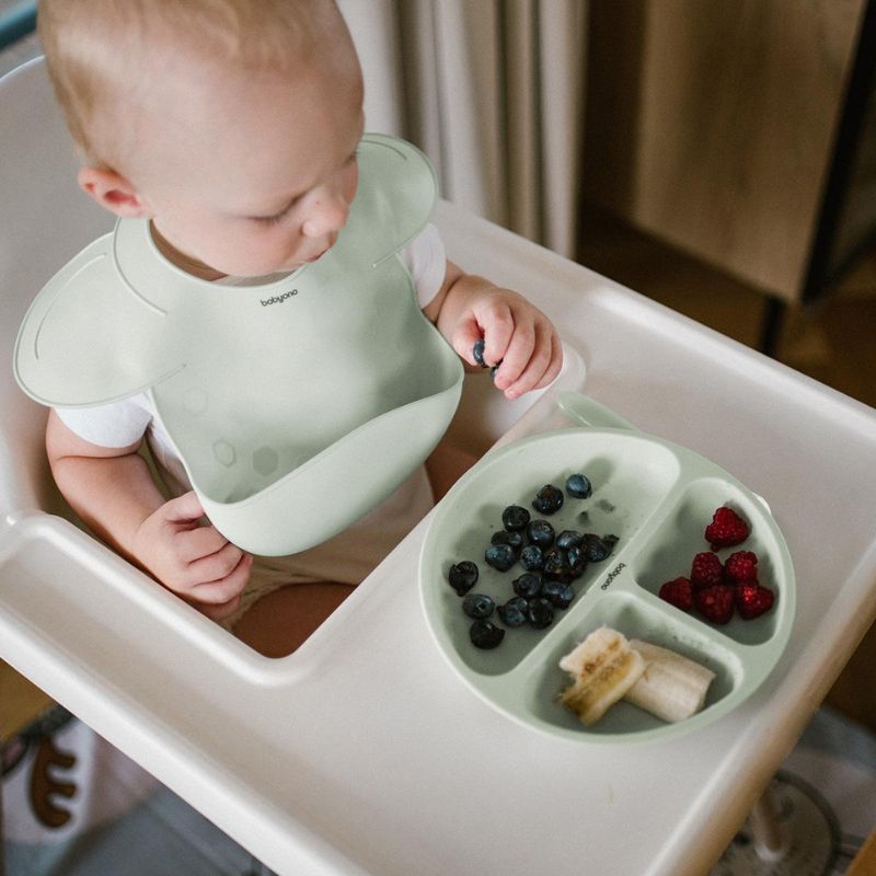 Детска силиконова чиния Babyono 1482